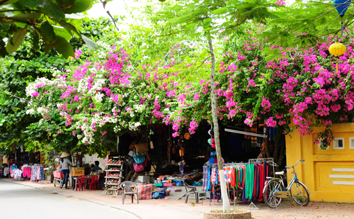 May đo siêu tốc ở Hội An - 1