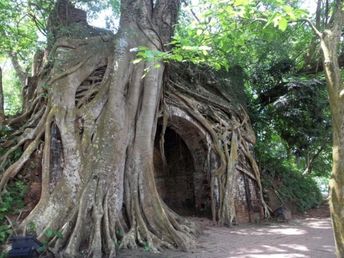 Rêu phong thành cổ Sơn Tây - 10