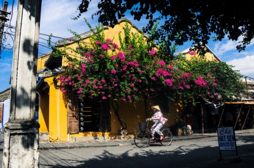 Hội An rực vàng trong ánh nắng - 1