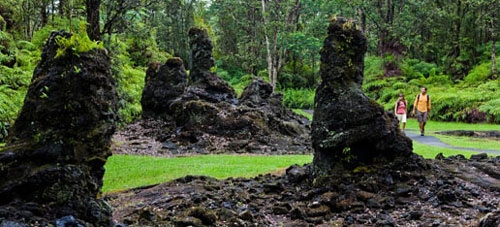 Khám phá rừng cây nham thạch độc đáo ở Hawaii - 2