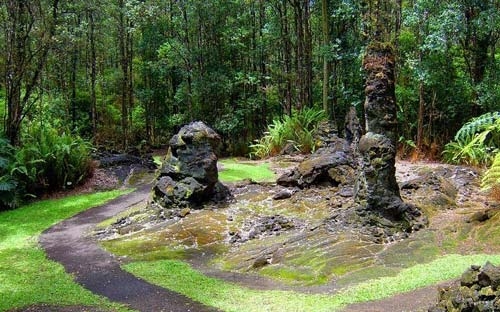 Khám phá rừng cây nham thạch độc đáo ở Hawaii - 4