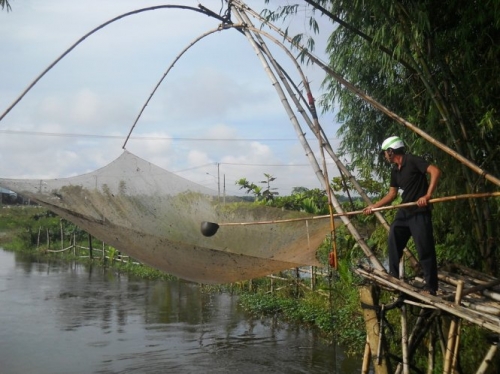 Mặn mà cá mại ngày mưa - 2