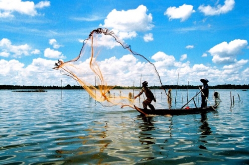 Về miền Tây ăn cá linh nấu bông điên điển - 1