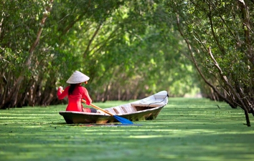 Về miền Tây ăn cá linh nấu bông điên điển - 5