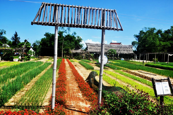 Theo chân du khách nước ngoài học làm nông dân ở làng rau Trà Quế - 1