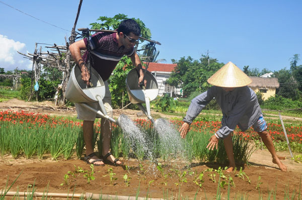 Theo chân du khách nước ngoài học làm nông dân ở làng rau Trà Quế - 14