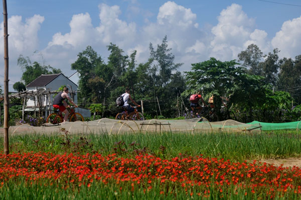 Theo chân du khách nước ngoài học làm nông dân ở làng rau Trà Quế - 7