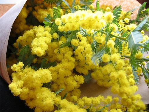 Thế giới kỷ niệm ngày 8-3 như thế nào? - 2