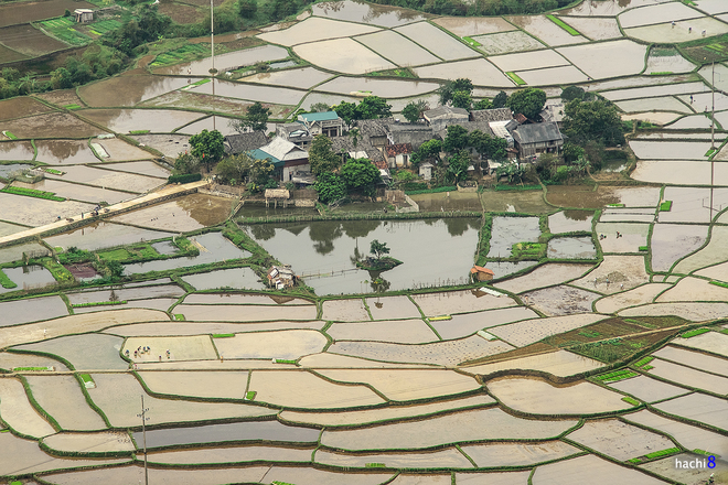 Thung lũng Mai Châu nên thơ vào vụ cấy - 5