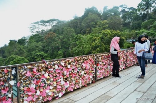 cau khoa tinh yeu trong suong mo o malaysia