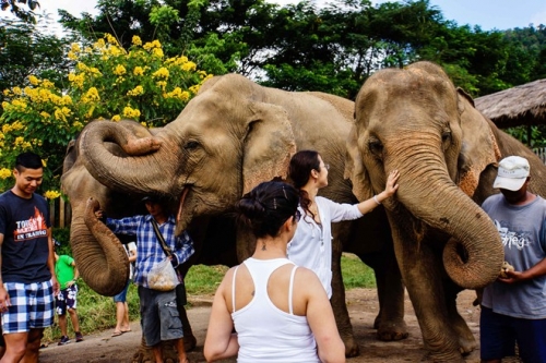 12 dieu nhat dinh phai lam khi den thai lan