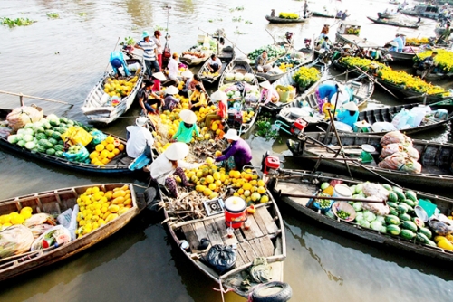 Đến miền Tây đi chợ nổi, ghé miệt vườn - 1