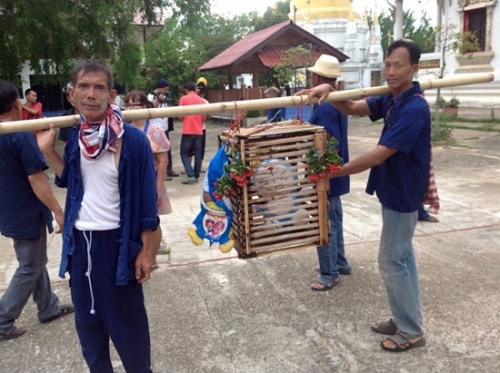 thai lan nguoi dan dung meo doraemon thay meo song de cau mua