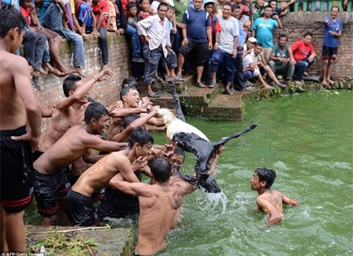 ron nguoi le hoi xe de song tai nepal