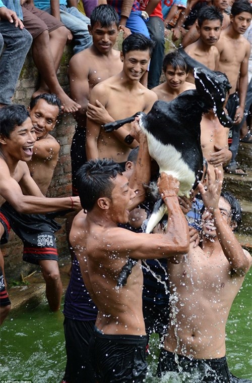 ron nguoi le hoi xe de song tai nepal