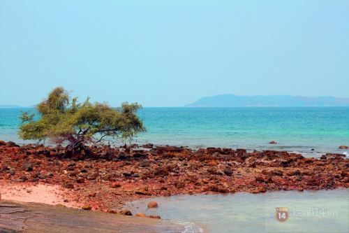 Du hí đảo Koh Larn với 1,5 triệu đồng - 9