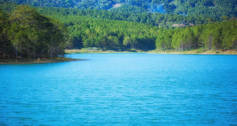 'Thiên đường xanh' quyến rũ gần hồ Tuyền Lâm - 2