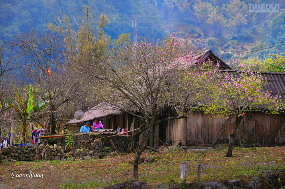 Mùa xuân lên Tây Bắc - 11