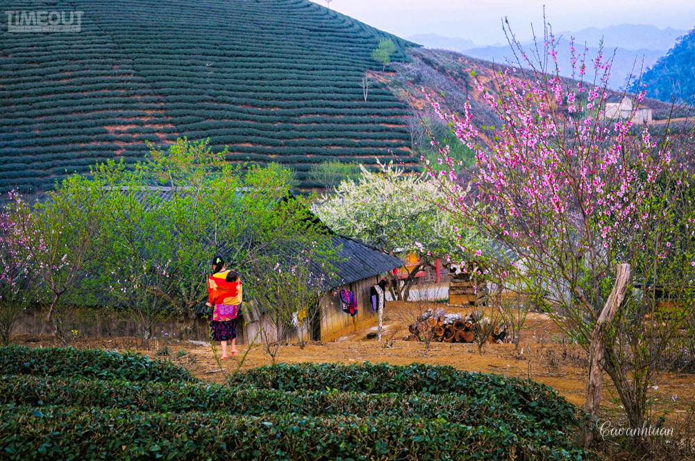 Mùa xuân lên Tây Bắc - 13