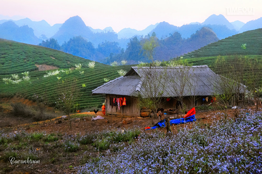 Mùa xuân lên Tây Bắc - 6