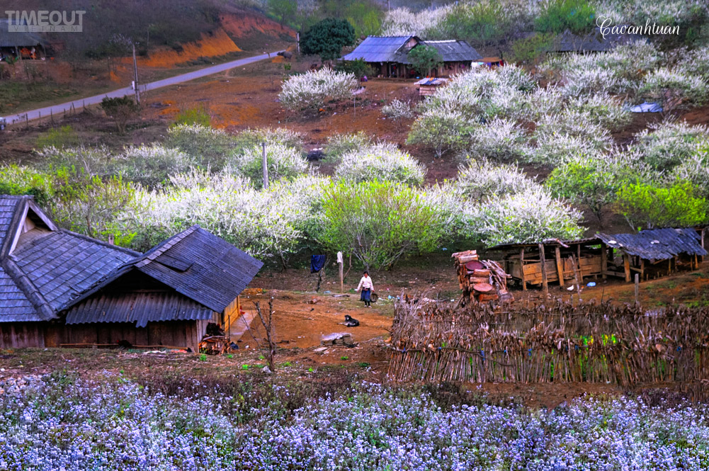 Mùa xuân lên Tây Bắc - 9