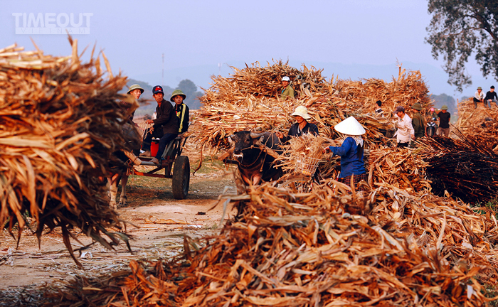 Hình ảnh bình dị của làng quê Việt sau Tết - 3