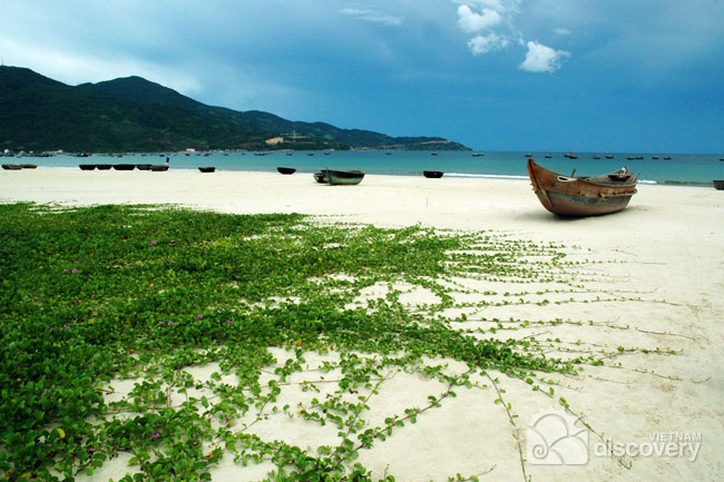 Vẻ đẹp 4 mùa của Đà Nẵng - 8