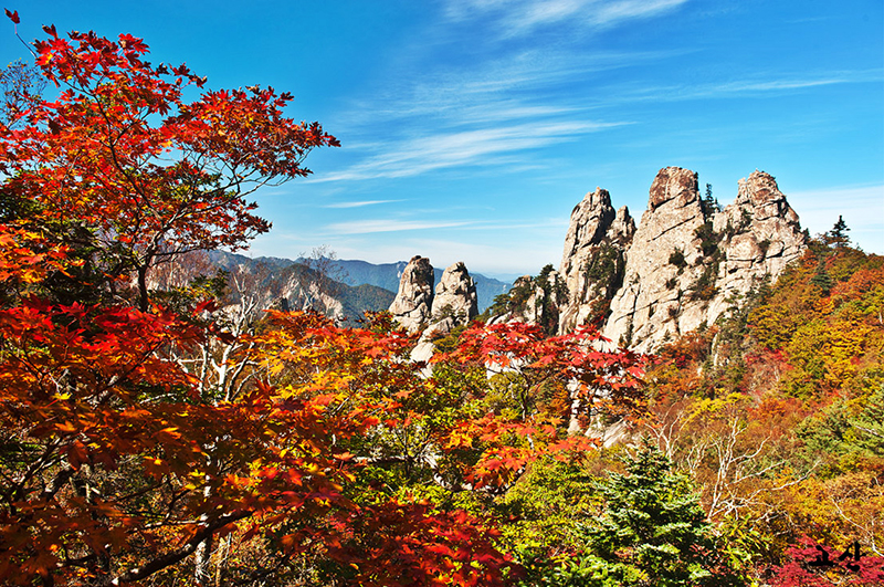 Gangwon - địa điểm quay thứ 2 của 'Hậu duệ mặt trời' - 1