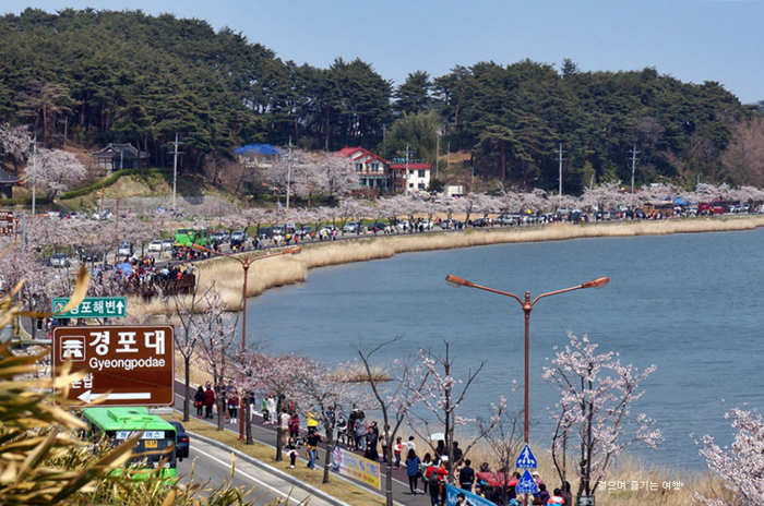 Gangwon - địa điểm quay thứ 2 của 'Hậu duệ mặt trời' - 6