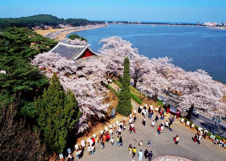 Gangwon - địa điểm quay thứ 2 của 'Hậu duệ mặt trời' - 7