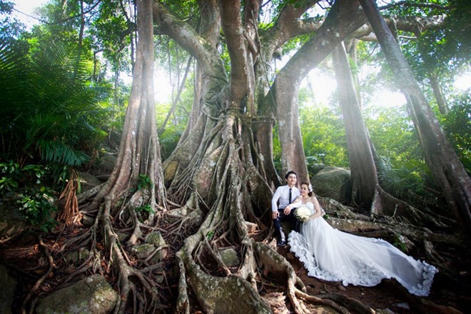 Những địa điểm chụp ảnh cưới đẹp như mơ ở Đà Nẵng - 8