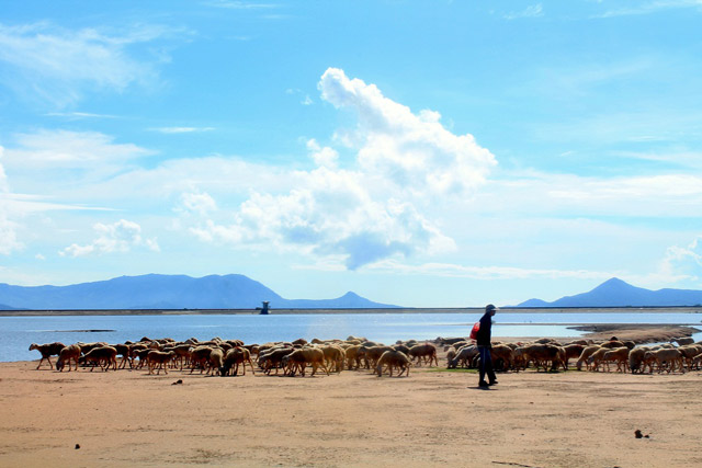 3 ngày 'ăn chơi đã đời' ở Ninh Thuận - 3