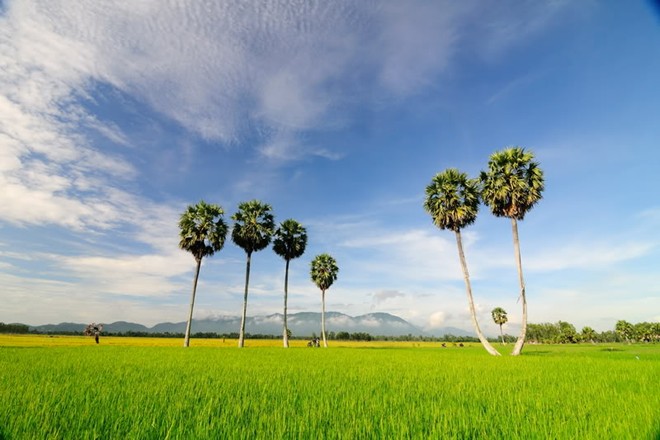 Những điểm check in lý tưởng khi đến An Giang - 3