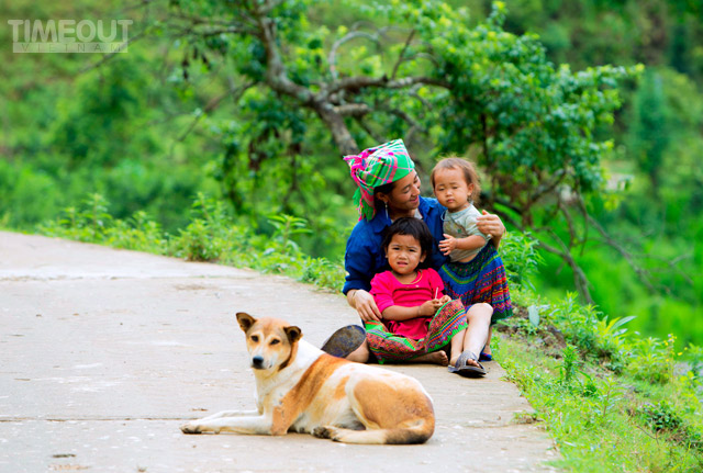 Mù Cang Chải mùa…'sóng xô sóng' - 15