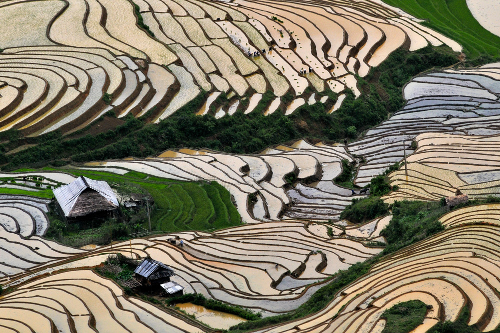 Du lịch Hoàng Su Phì – điểm đến hấp dẫn ở Hà Giang ảnh 2