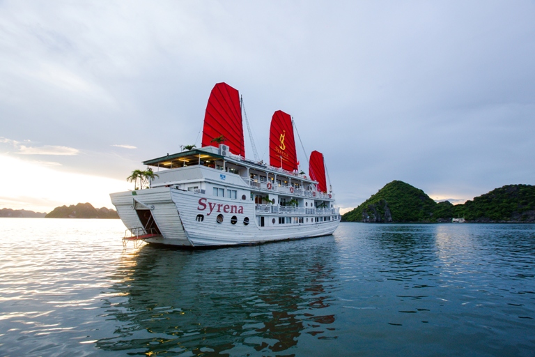 Du Thuyền Syrena Cruises nhận giải thưởng Tripadvisor  - 1