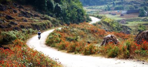 Kinh nghiệm du lịch Hà Giang 2 ngày 2 đêm ảnh 3