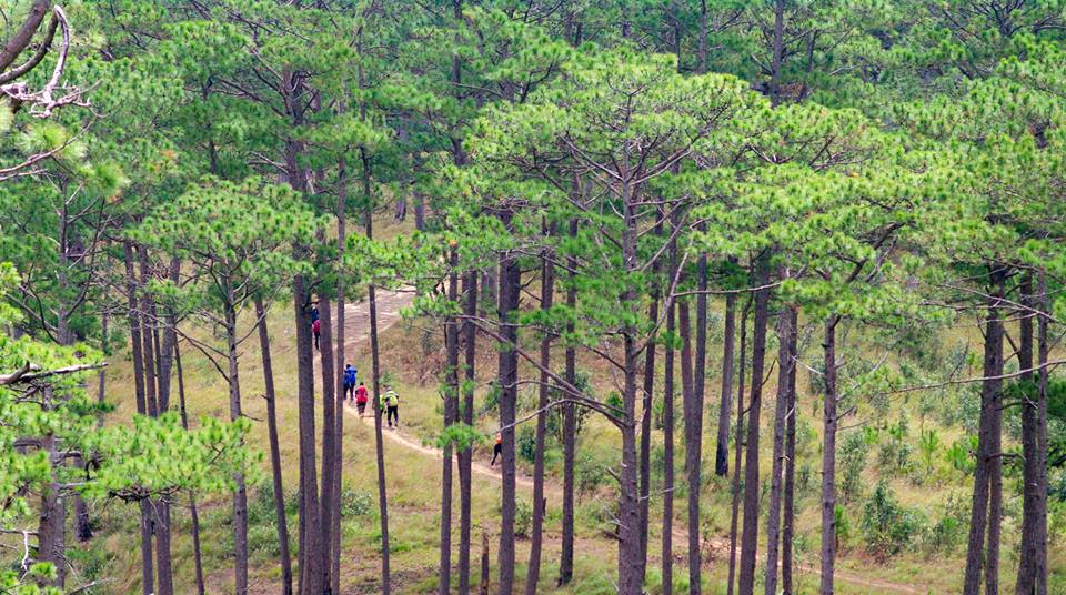 Trekking trên đỉnh Bidoup - 1