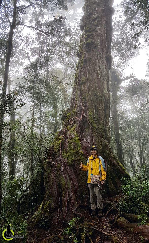 Trekking trên đỉnh Bidoup - 11