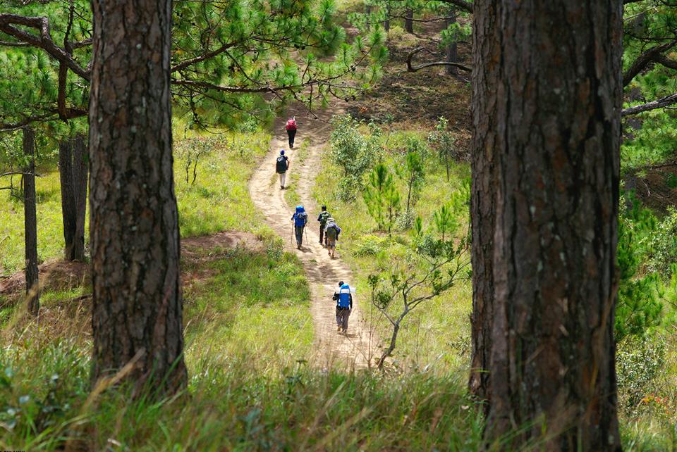 Trekking trên đỉnh Bidoup - 3