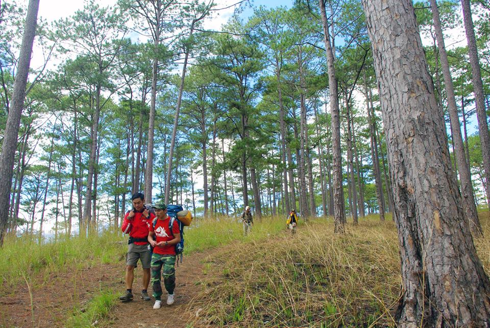 Trekking trên đỉnh Bidoup - 5