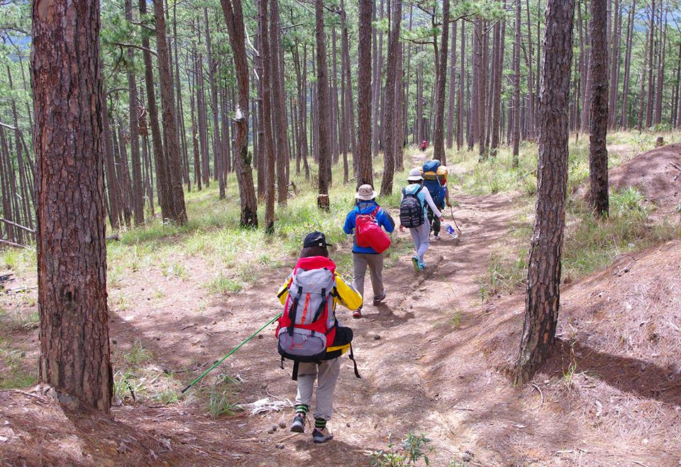 Trekking trên đỉnh Bidoup - 6