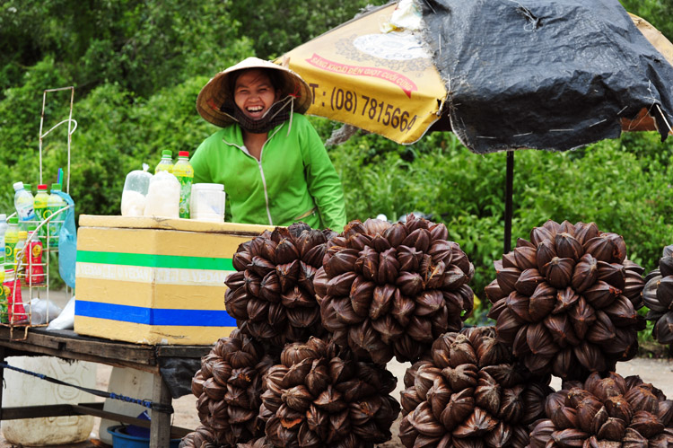 Lạ lùng trái dừa nước miền Tây  - 7