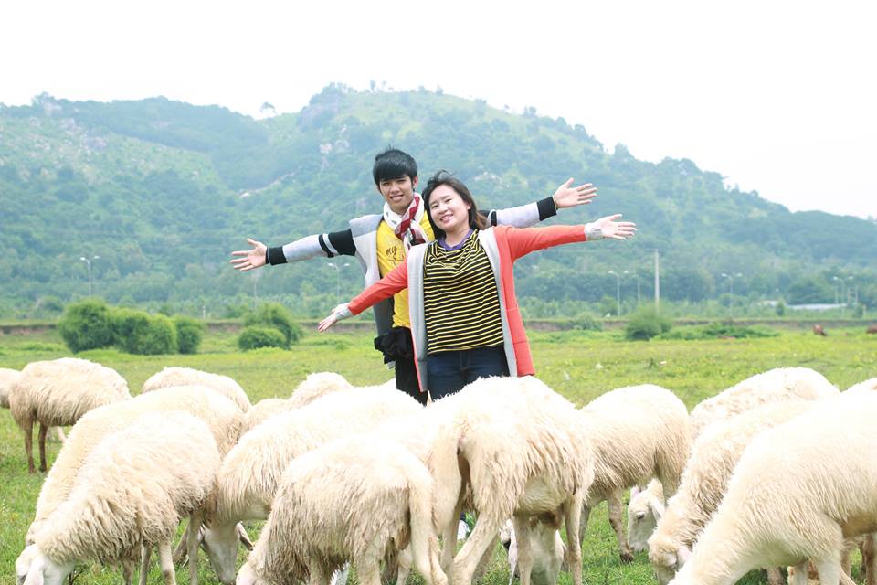 Check-in tại cánh đồng cừu đẹp ngỡ ngàng ở Vũng Tàu - 4