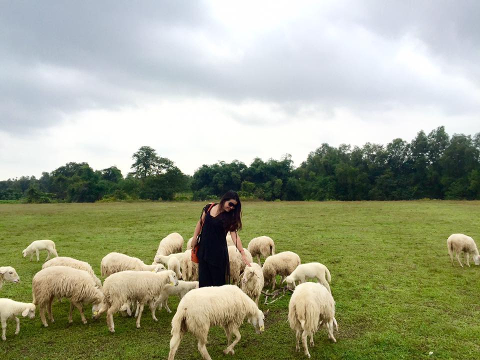 Check-in tại cánh đồng cừu đẹp ngỡ ngàng ở Vũng Tàu - 5