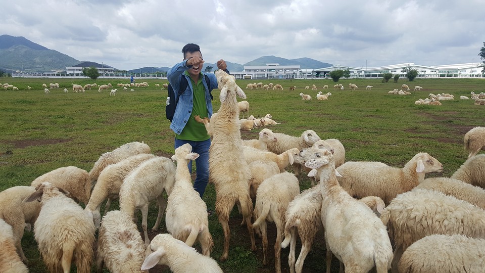 Check-in tại cánh đồng cừu đẹp ngỡ ngàng ở Vũng Tàu - 8