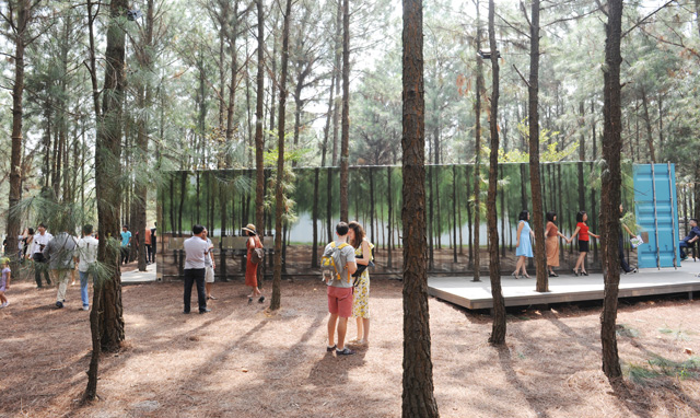 Sắc màu không gian nghệ thuật Art In The Forest 2017 - 4