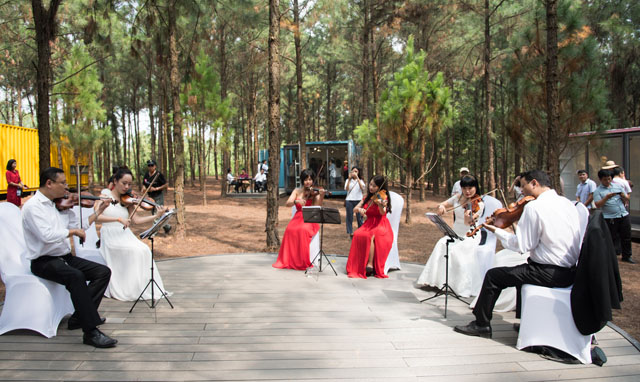 Sắc màu không gian nghệ thuật Art In The Forest 2017 - 9