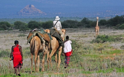 10 thien duong nghi duong safari tuyet voi nhat the gioi - 1