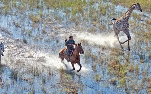 10 thien duong nghi duong safari tuyet voi nhat the gioi - 3